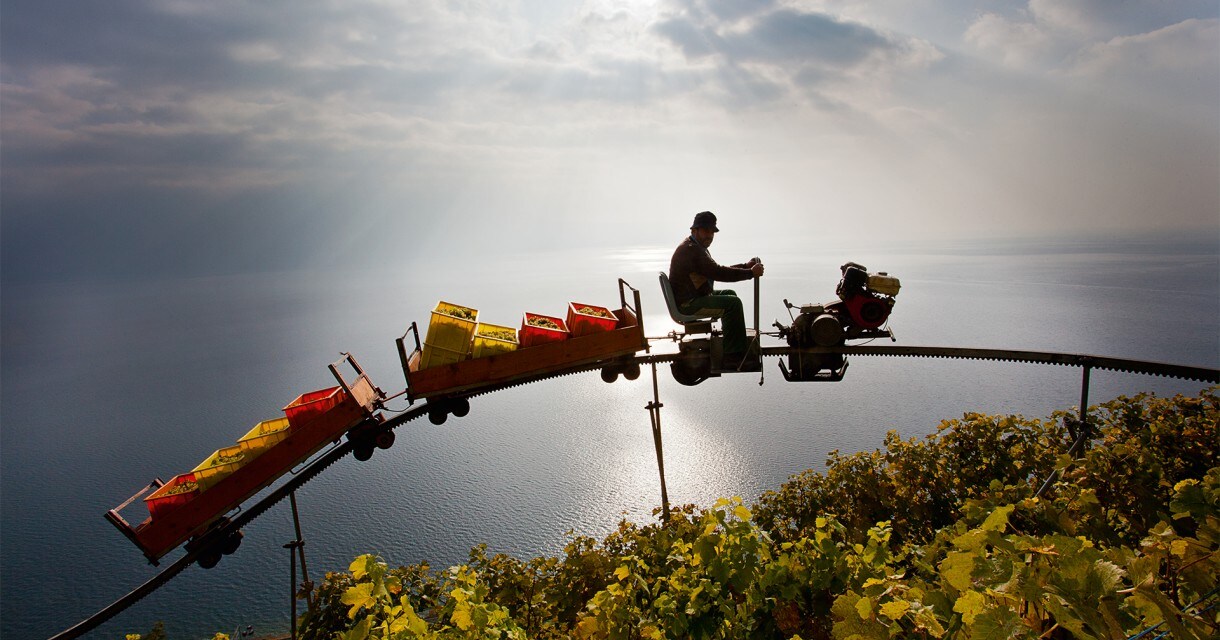 DÉZALEY and the LAVAUX | Lettres du Brassus