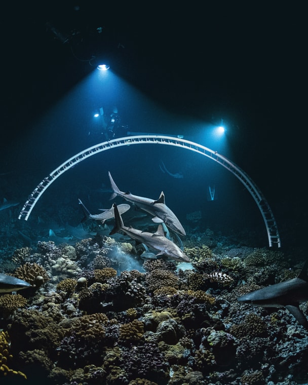 Tybo and Antonin positioning the Image Arch to capture the sharks catching a prey. Night after night, they dived with this bulky structure to film moments of predation that have never before been documented in this manner.

