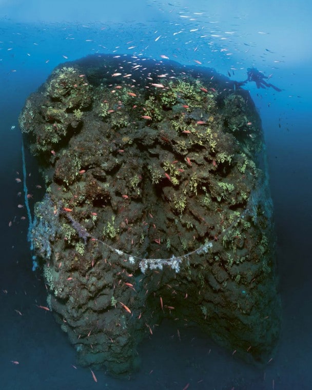 海綿動物に覆われたドーム、ラード・ ダゲ - 水深90m
