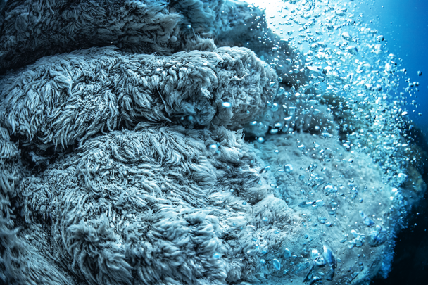到处都有酸性气泡从帕纳雷阿岛周围海域的海底逸散出来。任何生物接触到这些酸性、含硫的海水都无法生存。似乎只有厌氧菌在茁壮成长,它们在岩壁上形成了白色的毡层,随着气泡的波动而翩翩起舞。

