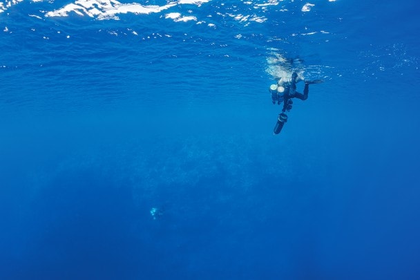 潜水员开始下潜。