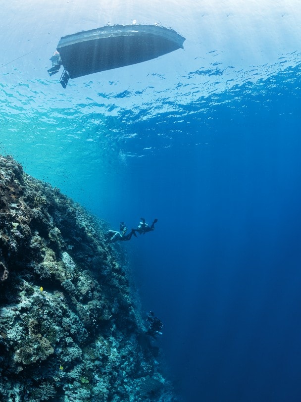 远东 深海珊瑚礁