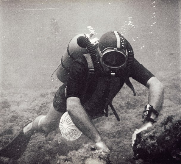 1950년대 프랑스 해안에서 잠수 중인 블랑팡의 공동 CEO 장-자크 피슈테르.