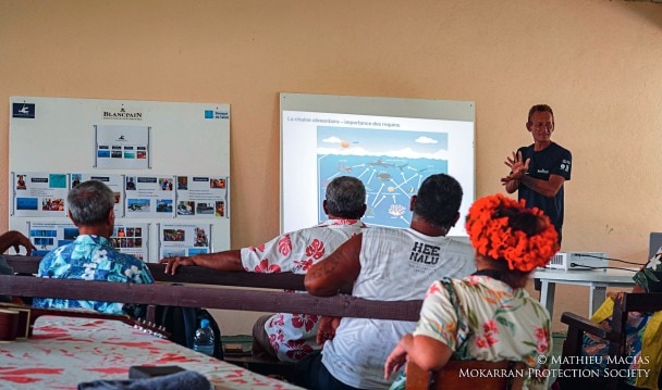 无沟双髻鲨保护协会在各个学校 内开办了讲座，借此唤醒人们对鲨鱼在 海洋生态系统中重要性的意识。