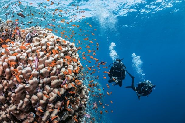 Die Partnerschaft von PADI und Blancpain SETZT HOFFEN IN TATEN UM