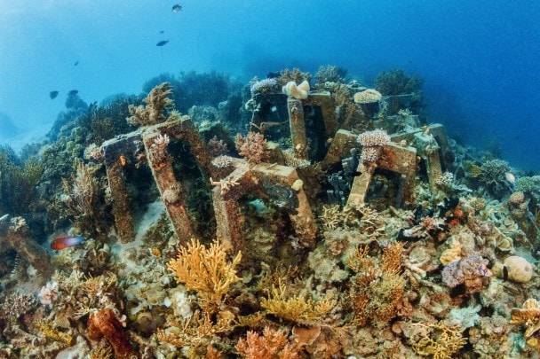 Le profondità della  SPERANZA