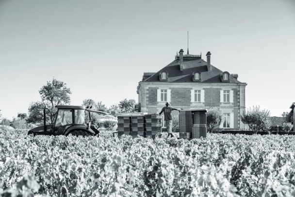 Château HAUT-BAILLY