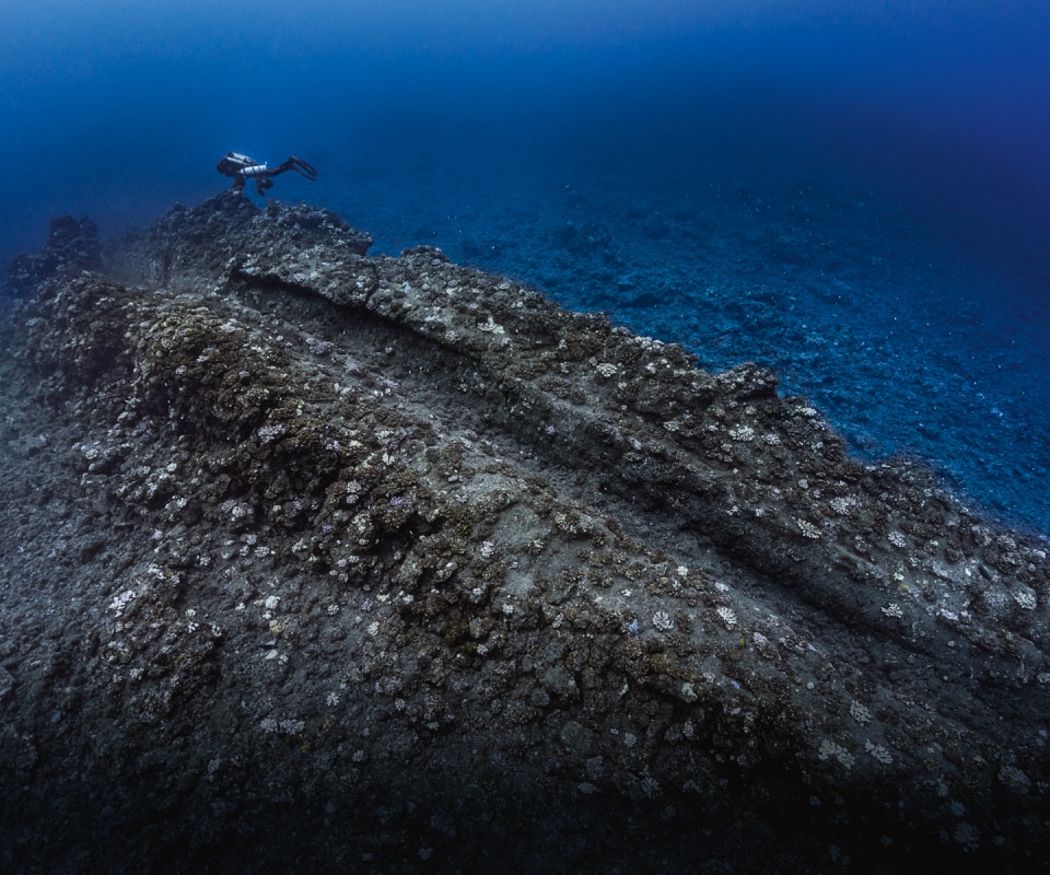 靠近水面的地方，熔岩管的顶部已经看不出原貌，海洋生 物的幼芽在这里扎根，鹿角珊瑚属植物占领了这方天地。
