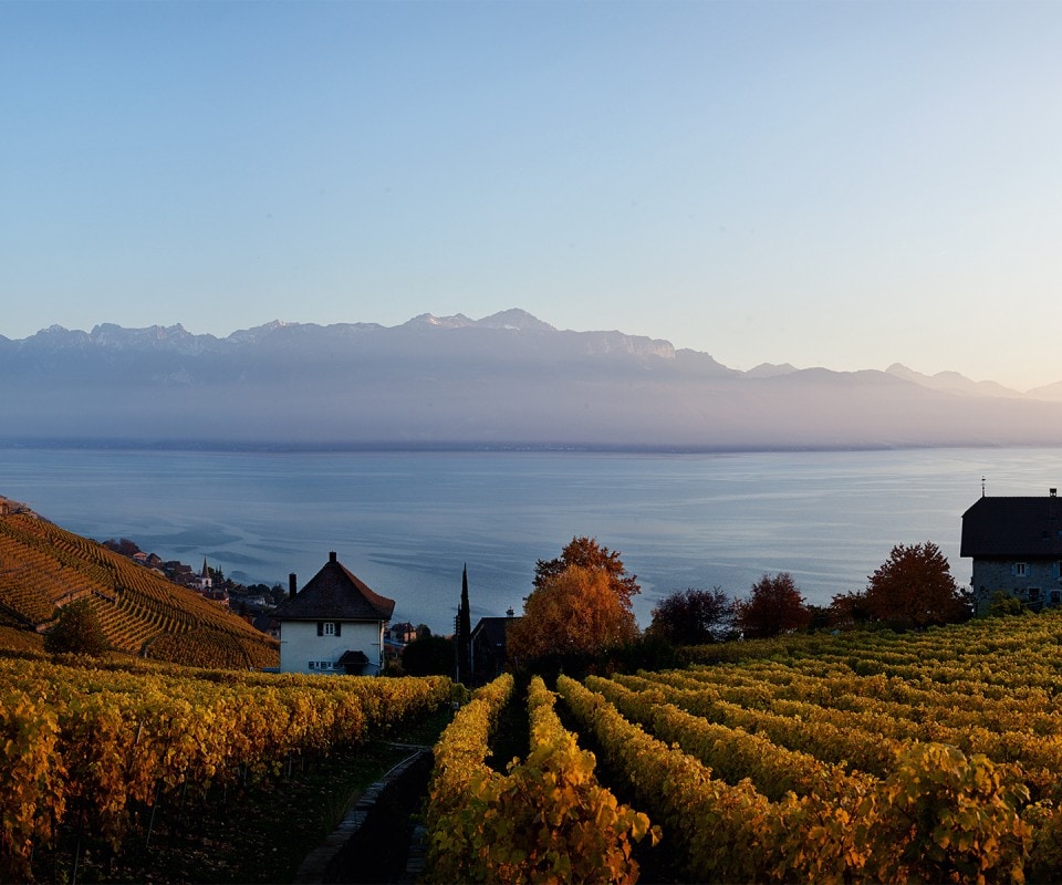 DÉZALEY and the LAVAUX | Lettres du Brassus