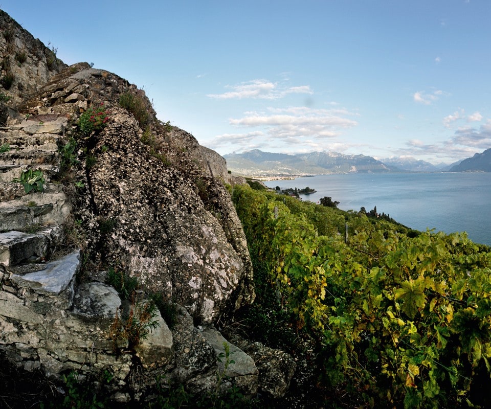 El paisaje de Lavaux (aquí en Saint-Saphorin), declarado patrimonio mundial por la UNESCO el 28 de junio de 2007, le debe mucho a la mano del hombre, que construyó terrazas y escaleras en las colinas o levantó muros de mampostería, y no muros de piedras secas como en Valais.
