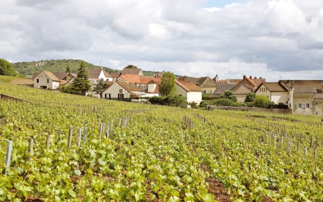 Vista sul villaggio di Chassagne dal vigneto Les Caillerets.
