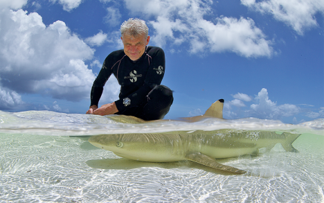 Paul Rose, le chef de l’expédition, avec un requin à pointes noires dans l’atoll d’Aldabra, dans les Seychelles.

