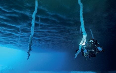 浮冰下的指状冰柱，摄于拉巴兰岛 （La Baleine Island），拍摄水深：5米。
