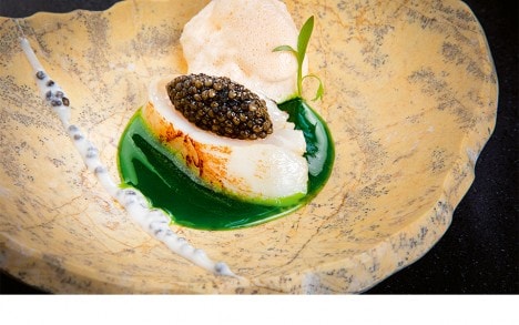 Noix de Saint-Jacques avec caviar « Ars Italica » sur lit de chlorophylle de persil et de ciboulette.
