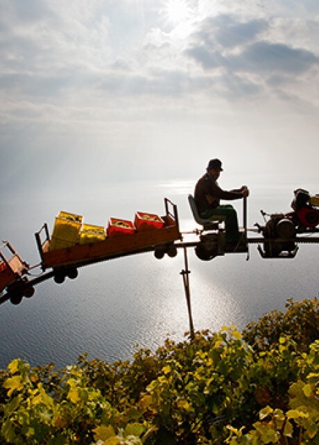 DÉZALEY and the LAVAUX | Lettres du Brassus