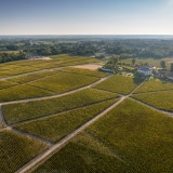 Château Haut-Bailly